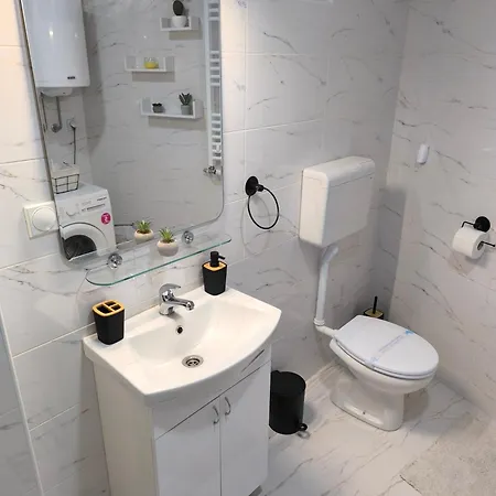 Stefani * بايرت