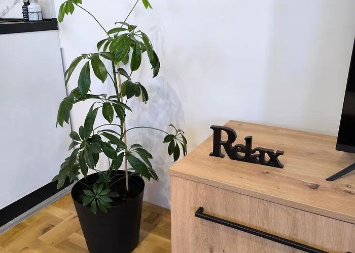 Apartament Stefani Pirot